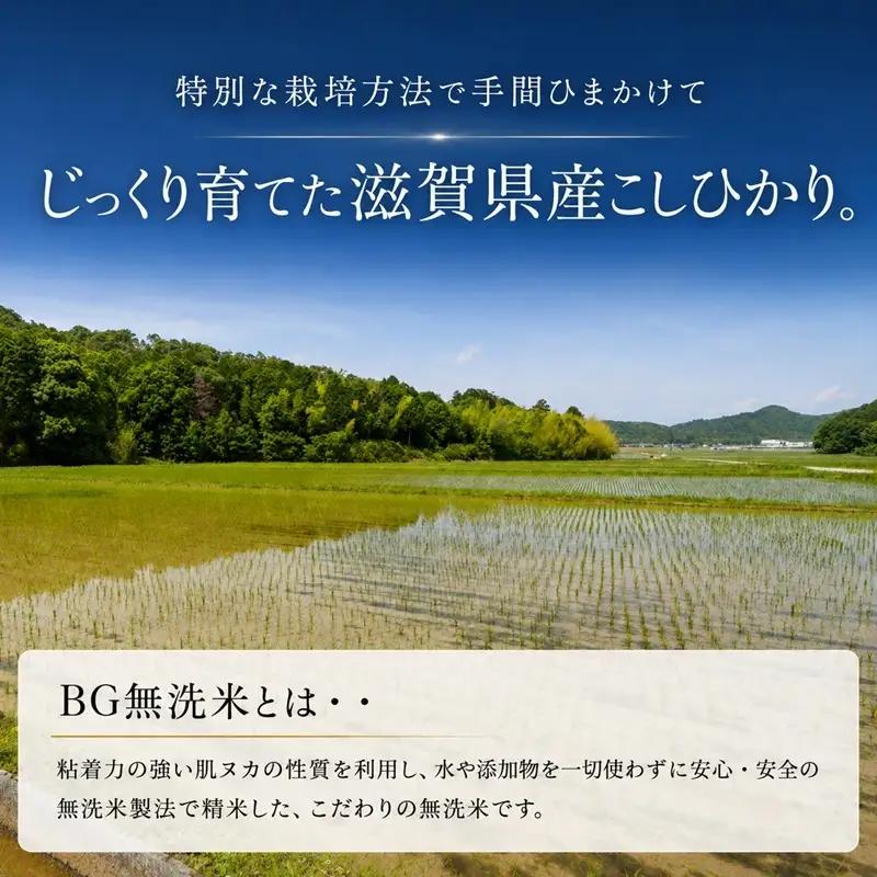 【令和8年産】 先行予約 新米 BG無洗米 コシヒカリ 10kg 10回定期便 令和8年産 定期便 米 無洗 無洗米こめ コメ お米 ご飯 米 こしひかり 米定期便 10か月定期便 10ヶ月定期便 1