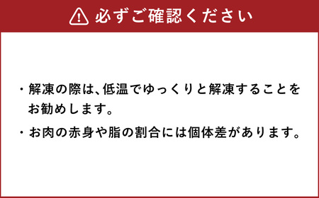 松阪牛使用 ハンバーグ 10パック 計約1,400g セット 松阪牛 松坂牛 和牛 黒毛和牛 国産牛 日本三大和牛 ブランド牛 牛肉 ビーフ お肉 肉 調理肉 おかず 惣菜 総菜 グルメ 北海道 北広