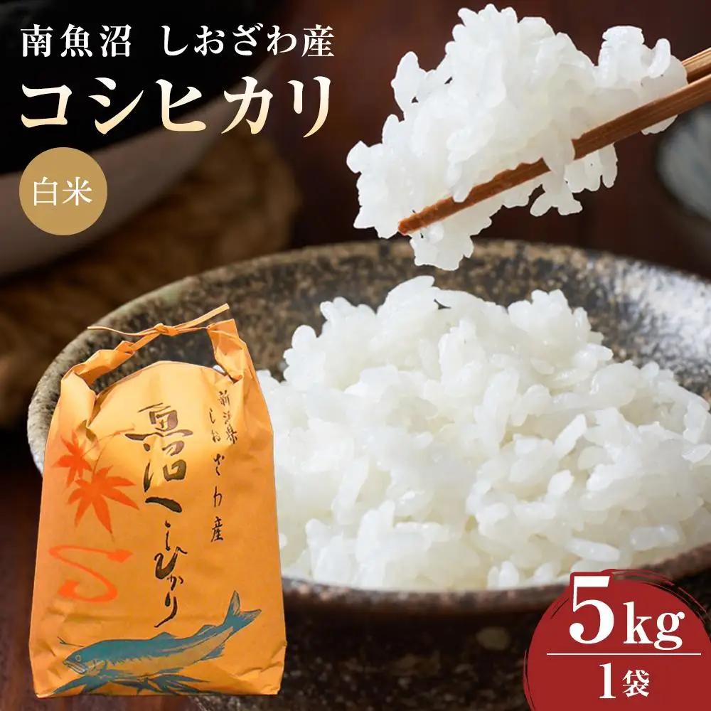 【令和７年度産】《語り伝えられる地》南魚沼しおざわ産コシヒカリ５Ｋｇ（白米） | コシヒカリ