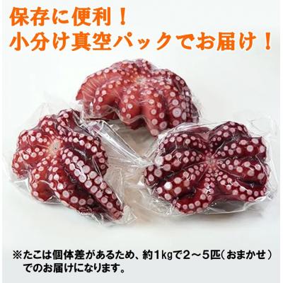 ふるさと納税 普代村 【年内発送】 北三陸産 蒸し真タコ丸ごと約1kg (2匹〜5匹) たこ刺身 たこ焼き 年内お届け |  | 01