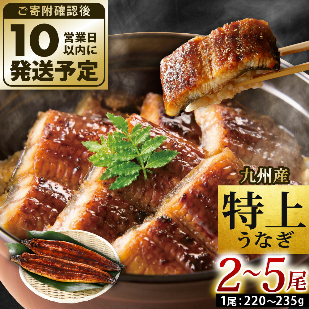 【丑の日／配達日指定可能】九州産 うなぎ 蒲焼 特大 4尾（1尾あたり200〜235g） 合計800g以上 たれ・山椒付き 鰻 蒲焼き 土用の丑の日 夏 冷凍 国産 送料無料