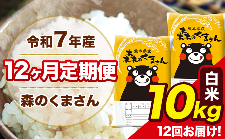 令和7年産 森のくまさん 白米 10kg 5kg×2袋 計12回お届け 《お申込み翌月から出荷》 お米 こめ 熊本県産 ご飯 備蓄---mk7tei_246000_10kg_mo12_ng_h---
