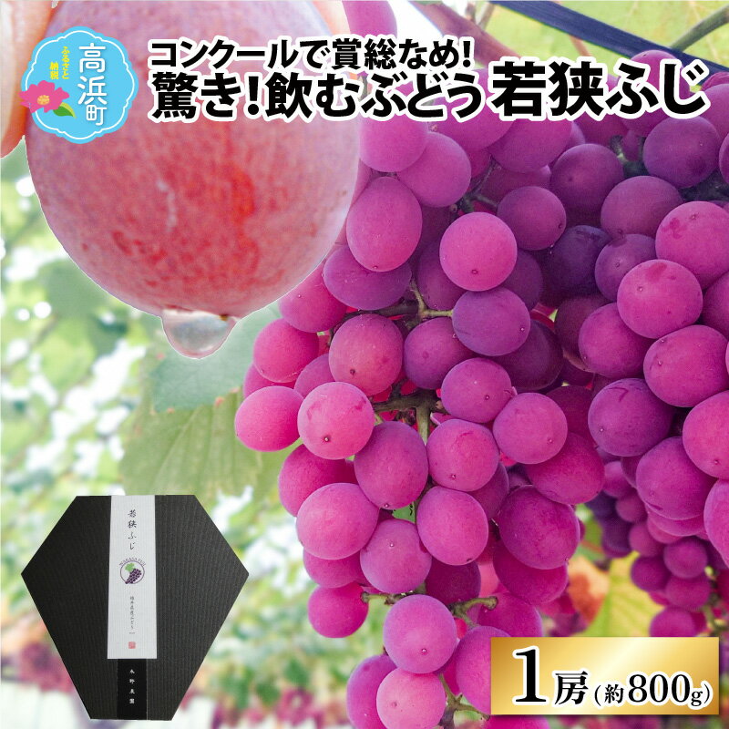 【ふるさと納税】【先行予約】【数量限定】受賞歴多数！飲むぶどう 若狭ふじ 1房(約800g)【贈答用にもおすすめ】 ≪2025年8月中旬より順次発送≫ | ブドウ 葡萄 果物 フルーツ デザート 国産 大粒 種なし 食べ比べ 糖度 産地直送 贈り物 ギフト 送料無料 [A-009001]