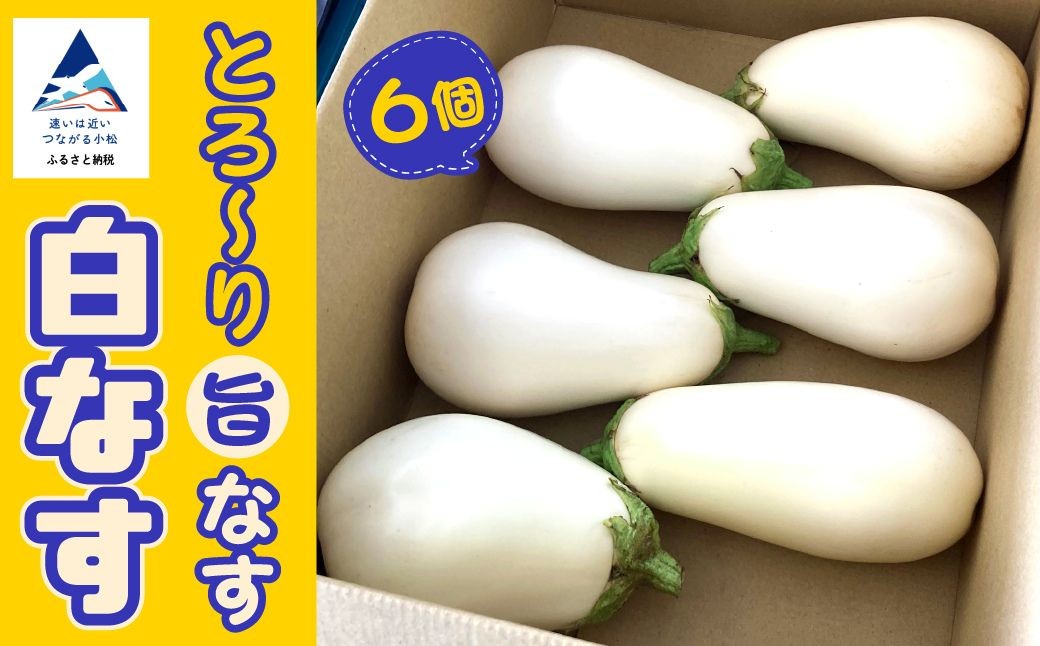 
            【季節限定】のうちゃんファームの白なす 6個 ナス 茄子 野菜
          