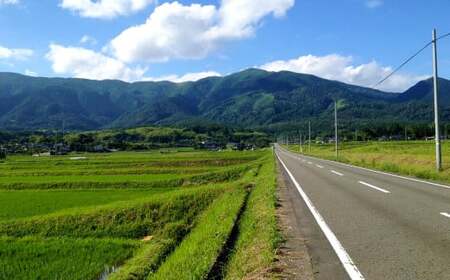 【返礼品なし】岡山県奈義町の取り組みを全国へ！奈義町で行う『少花粉スギ・ヒノキ』植樹を応援してくださる皆さまからの温かいご支援をよろしくお願いいたします。 寄附のみ 岡山県 奈義町 寄附 応援