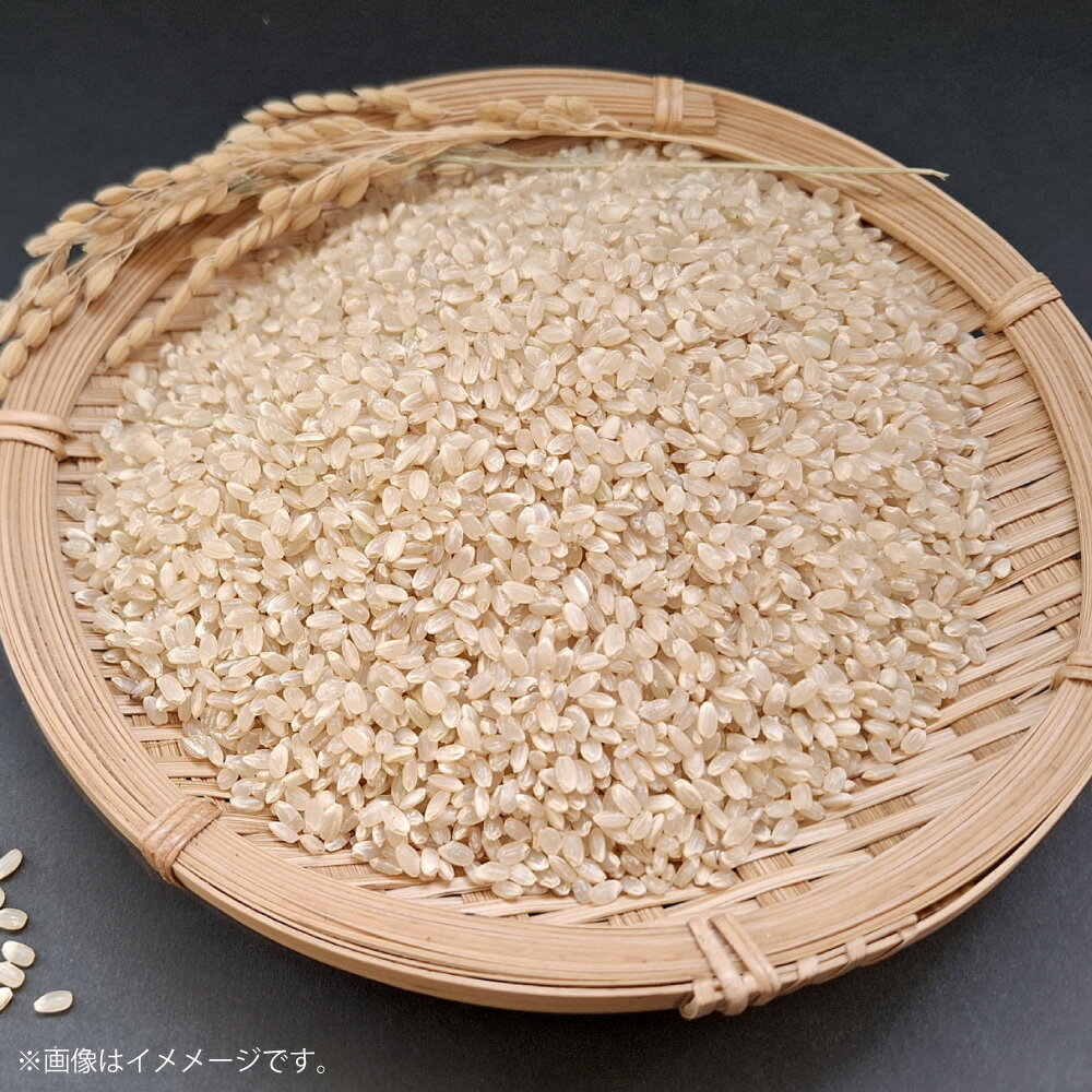 【ふるさと納税】令和7年産 島育ち 甑島産 あきほなみ 玄米 5kg お米 ごはん 国産 鹿児島県産 薩摩川内市 送料無料 【2025年11月上旬より順次発送開始】 BS-0110