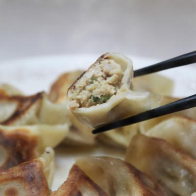 ふるさと納税 福生市 自家製餃子  32g×20個 1パック |  | 01