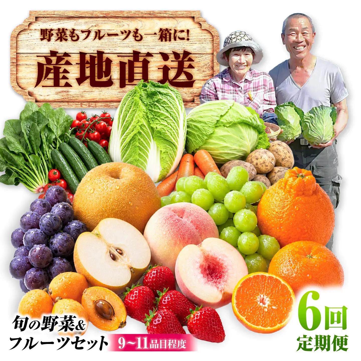 【6回定期便】【産地直送】長崎県諫早産 旬の野菜＆フルーツ詰め合わせ 9～11品目程度 季節のおまかせセット / 野菜 フルーツ 果物 セット 詰め合わせ 旬野菜セット 旬のフルーツ 旬 食べ比べ 産地直送 健康 / 諫早市 / 肥前グローカル株式会社[AHDI017]