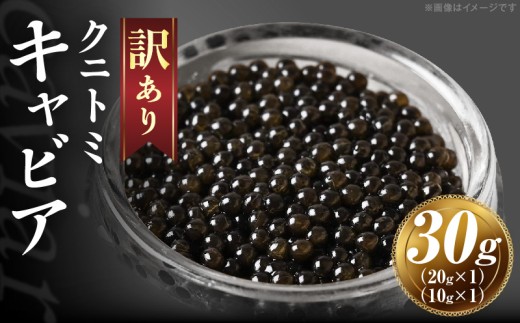 【訳あり】クニトミキャビア 30gセット(20g×1+10g×1) キャビア 国産 国産キャビア 高級 宮崎県産 珍味 おつまみ 酒の肴 家飲み 冷凍 訳あり お取り寄せ グルメ パーティー ワイン 