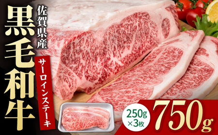 佐賀県産 黒毛和牛 サーロインステーキ 750g / サーロインステーキ [IAG017]