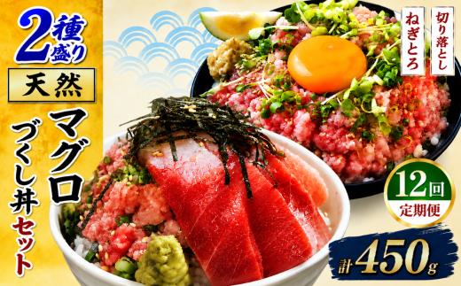 【定期便12回】天然マグロ づくし丼 2種盛り 合計450kg | ネギトロ 250g 切り落とし 200g セット まぐろ 鮪 マグロたたき 海鮮 海鮮丼 小分け 冷凍 最短7日以内発送 清幸丸水産 千葉県 君津市 きみつ