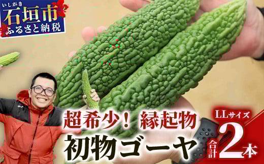 
            【予約受付】「最優秀賞」受賞の農家！希少品！贈答用「初物ゴーヤ」《2026年1月上旬～2026年2月中旬頃まで順次発送》【 ふるさと納税 沖縄県石垣市 沖縄 石垣 石垣島 希少 贈答 初物 ゴーヤ 離島のいいもの 沖縄いいもの石垣島 】OI-1
          