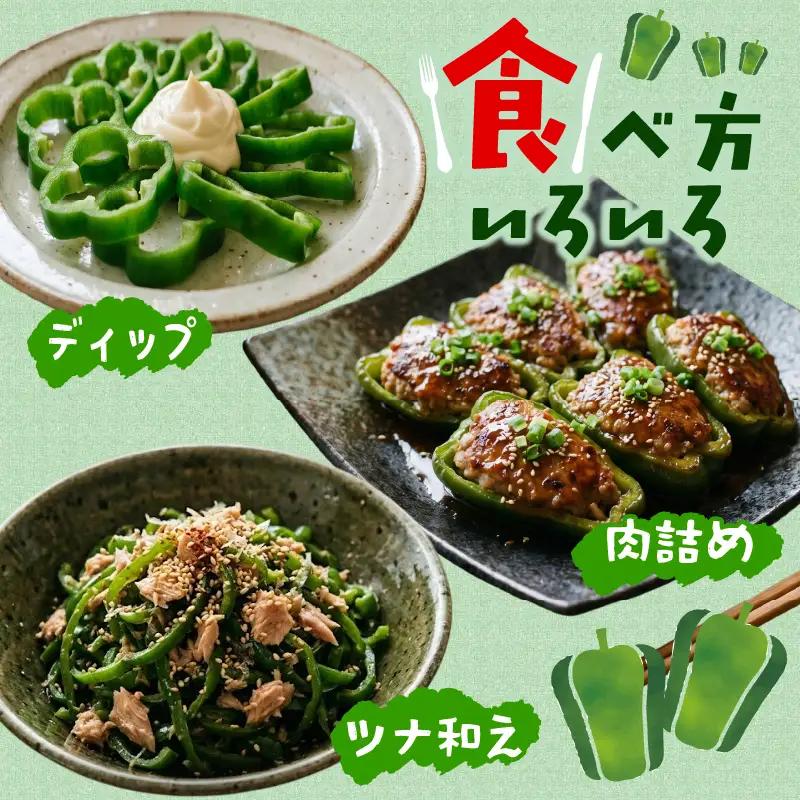 訳ありピーマン3kg [7-9月発送]