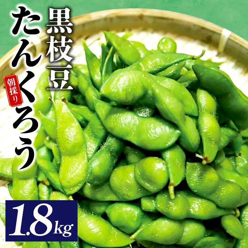 【畑から直送 朝採り】黒枝豆 1.8kg 