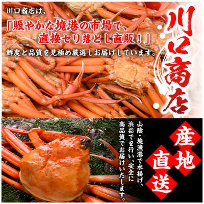 ふるさと納税 境港市 浜茹ベニズワイガニ足欠(2枚/計約800g)【7月-9月上旬発送不可】 |  | 01