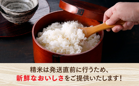 AE315.【期間限定】立花山で育てた九州のブランド米・味くらべセット（5.4キロ）