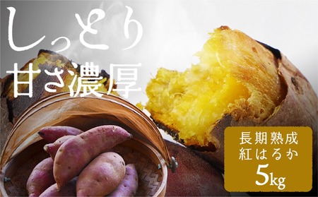 【年内お届け】都城産 長期熟成紅はるか 5kg≪2025年12月15日～31日お届け≫_AA-I202-HNY