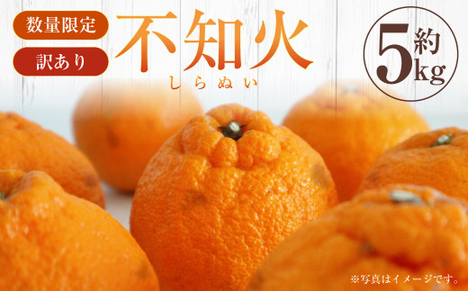 【先行受付】【数量限定】【訳あり】不知火 約5kg 訳あり 訳アリ 柑橘 フルーツ 果物 果実 くだもの みかん 蜜柑 ミカン 九州産 熊本県 上天草市【2027年2月下旬～3月下旬順次発送】