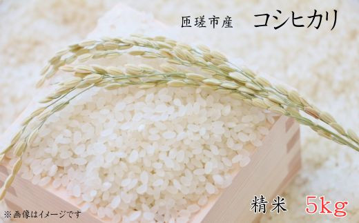 匝瑳市産　コシヒカリ　精米　5kg ／ 米 こめ コメ お米 ごはん コシヒカリ 精米 白米 5kg ちばエコ農産物 産地直送
