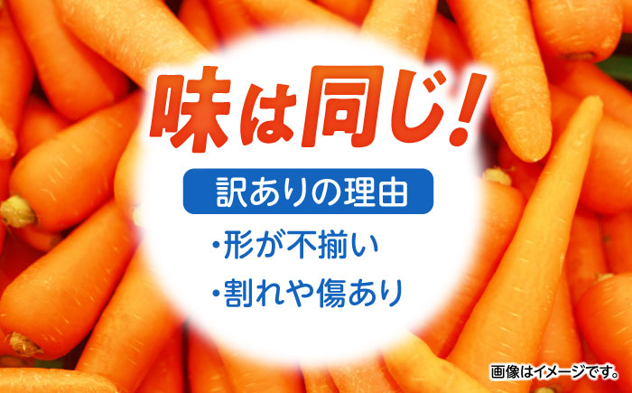 食品 やさい 野菜 サラダ 旬 甘い にんじん ニンジン 人参 キャロット きゃろっと 訳あり 訳アリ わけあり ワケアリ
