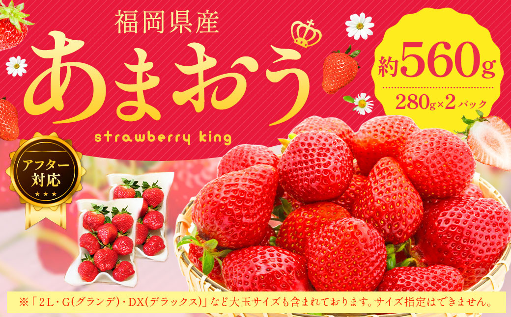 
            【アフター対応】あまおう 約280g×2パック 【2026年1月上旬～3月下旬発送予定】 苺 イチゴ いちご 果物 フルーツ 福岡県 遠賀町
          