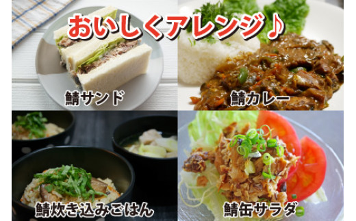 鯖味付缶詰【柚子果汁使用】24缶｜サバ缶 鯖缶 さば缶 鯖 サバ さば 缶詰 サバ缶詰 鯖缶詰 缶 詰合せ 詰め合せ セット 非常食 防災 備蓄 常温 常備食 保存食 [BFAB024]