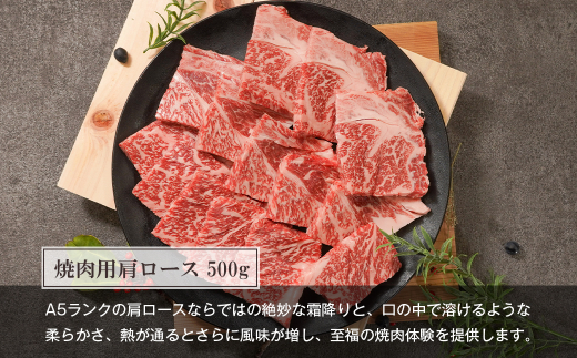 【定期便6ヶ月】【A5ランク限定】淡路島産黒毛和牛 贅沢定期便【神戸牛】　[神戸牛 定期便 すき焼き ステーキ 焼肉 瞬間冷凍 牛肉 高級] 