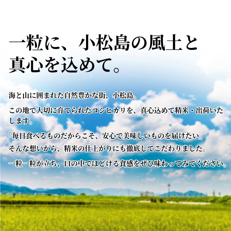 【令和7年産】 米 こしひかり 精米 5kg  お米 あいさい米 おこめ 白米 白飯 ご飯 ごはん 国産米 おにぎり おむすび お弁当 徳島 小松島 