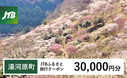 
                  【湯河原町】JTBふるさと旅行クーポン（30,000円分）有効期間3年（Eメール発行）｜旅行 トラベル 予約 国内旅行 JTB 宿泊 観光 体験 旅行券 宿泊券 旅行予約 温泉 ホテル 旅館 チケット 子供 子連れ カップル 家族 人気 おすすめ 旅行クーポン 店頭 オンライン ネット予約 電話 有効期間3年
                