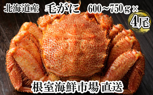 D-28065 根室海鮮市場＜直送＞ボイル毛がに600～750g×4尾(若上蟹)