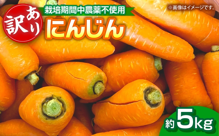 にんじん 5kg バラ詰め 訳あり / 稲沢市 / 人参 野菜 加工用 / 稲沢市 / 櫛田養鶏場 [BMAY018]