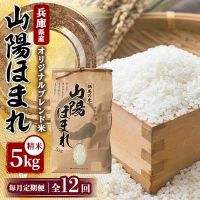 ふるさと納税 養父市 【毎月定期便】兵庫県産 但馬のお米 オリジナルブレンド米　山陽ほまれ 5kg×1全12回