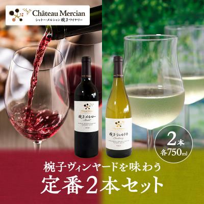 ふるさと納税 上田市 限定 ワイン 椀子ヴィンヤードを味わう定番 セット 2本[54040428]