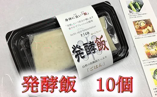 
            発酵飯10個【100g×10p】【AD24U1】
          