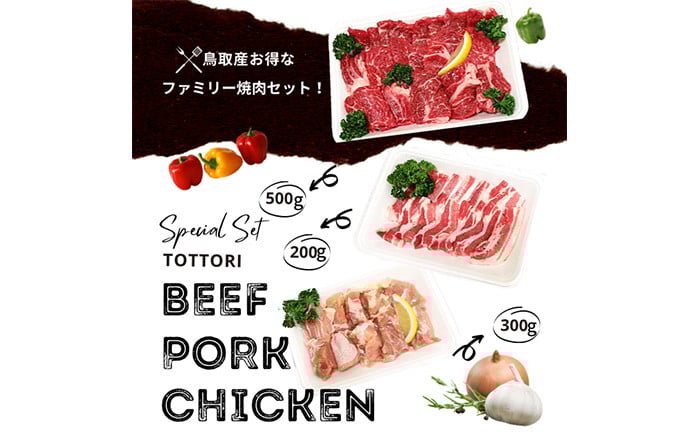 が24-010 鳥取県産 焼肉セット 1kg(３～5人前) 牛肉 豚肉 鶏肉 焼き肉 バーベキュー BBQ ファミリーセット