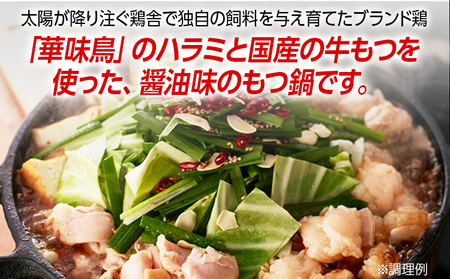 福岡「華味鳥」もつ鍋セット(3～4人前) もつ鍋
