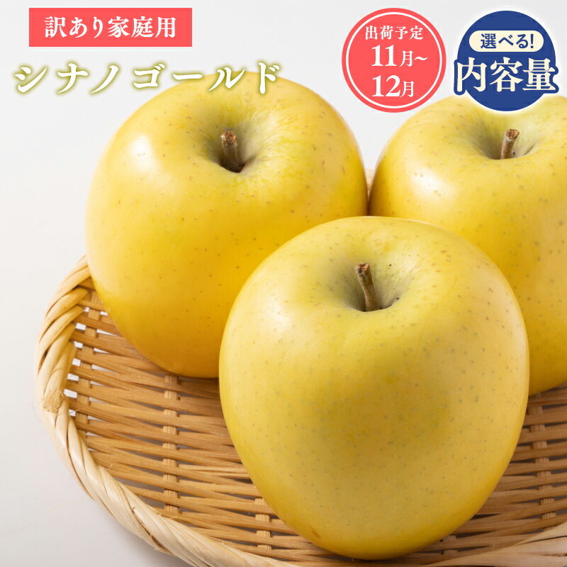 【ふるさと納税】≪令和7年産先行受付≫青森県産 家庭用 シナノゴールド 約2kg 約3kg 約5kg【青森県 平川市 山内ファーム】家庭用 平川市産 青森りんご りんご リンゴ 林檎 シナノ ゴールド お取り寄せ 先行予約 果物 くだもの フルーツ レビューキャンペーン