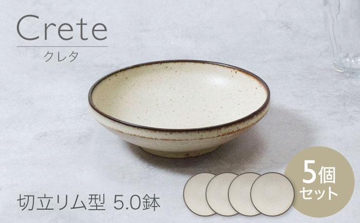 
                  【美濃焼】クレタ 切立リム型 5.0鉢 5点セット【カネ定製陶】 ボウル 食器セット ナチュラル [MEI267]
                