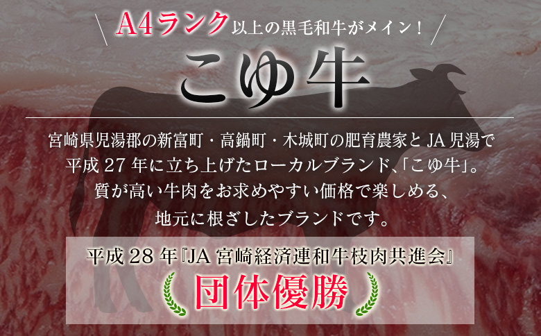 ＜年末年始限定!!＞厳選 黒毛和牛 お肉定期便 ［全6回］ 連続（1月～6月） 国産 牛肉 カルビ ステーキ ロース バラ モモ スライス 焼肉 しゃぶしゃぶ すき焼き 宮崎【E255】