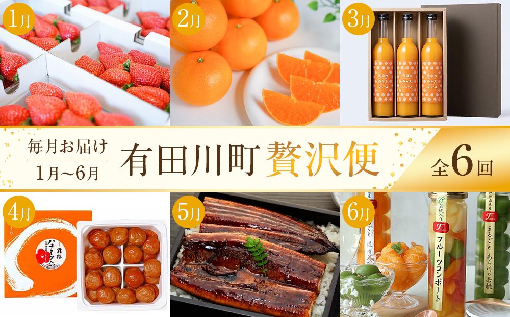 全6回 有田川町から贅沢定期便（1月～6月発送）フルーツ うなぎ スイーツ 梅干し など  ARD10