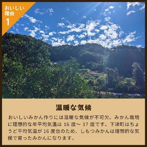 とれたてしもつみかん　5kg家庭用｜和歌山県海南市の下津みかんを産地直送でお届け【2025年11月発送開始】