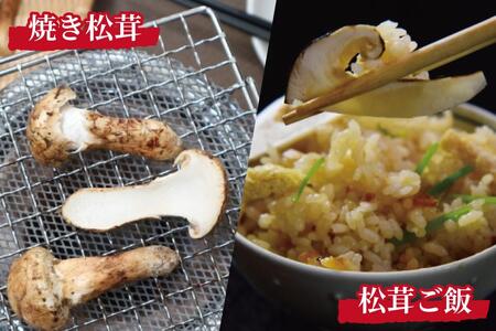 先行予約 国産松茸 約300g 数量限定 香り高く希少【和歌山県高野町産】【2024年9月下旬～11月上旬発送】