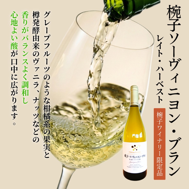 椀子ヴィンヤードを味わう贅沢赤白セット　ワイン 赤ワイン 白ワイン お酒 酒 アルコール 長野 長野県 上田市