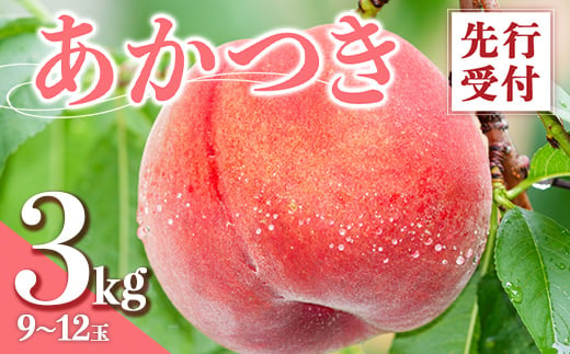 
            福島県産 あかつき 3kg 2025年7月下旬～2025年8月上旬発送 2025年出荷分 先行予約 予約 伊達の桃 桃 もも モモ 果物 くだもの フルーツ 名産品 国産 食品 F20C-637
          