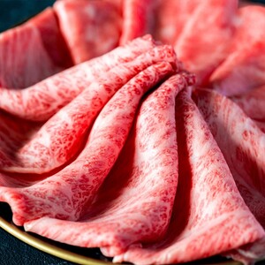 【和牛セレブ】長崎和牛すき焼き・しゃぶしゃぶもも 300g( 長崎和牛 和牛 すき焼き しゃぶしゃぶ もも )【B5-091】