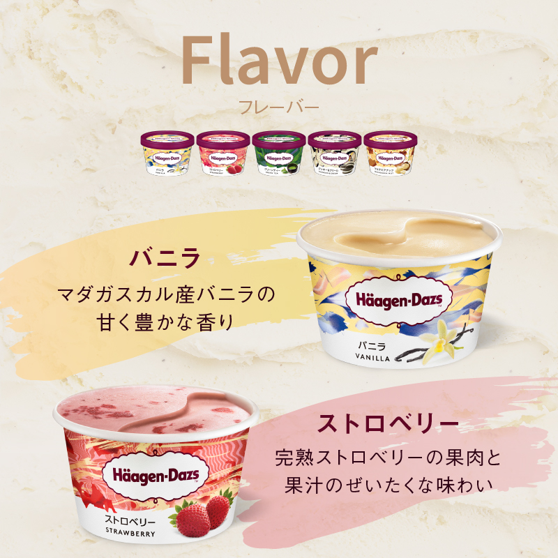 ＜全6回定期便・隔月＞ハーゲンダッツ『定番ミニカップフレーバー5種セット(合計72個)』アイスクリーム アイス スイーツ デザート_H0026-053