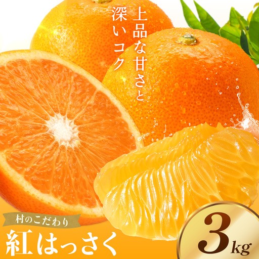 
                  八朔 紅八朔 村のこだわり 紅はっさく 約3kg 山口允張《1月中旬-2月中旬頃出荷》 徳島県 佐那河内村 送料無料 柑橘類 柑橘 果物 フルーツ はっさく べにはっさく お取り寄せフルーツ【配送不可地域あり】※離島不可
                