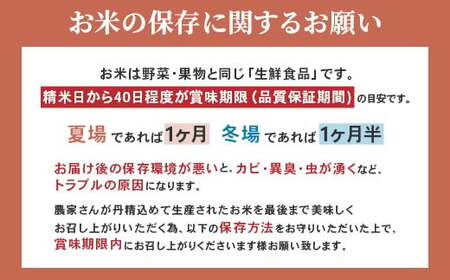 599 茨城県産にじのきらめき 5kg【株式会社桝味】
