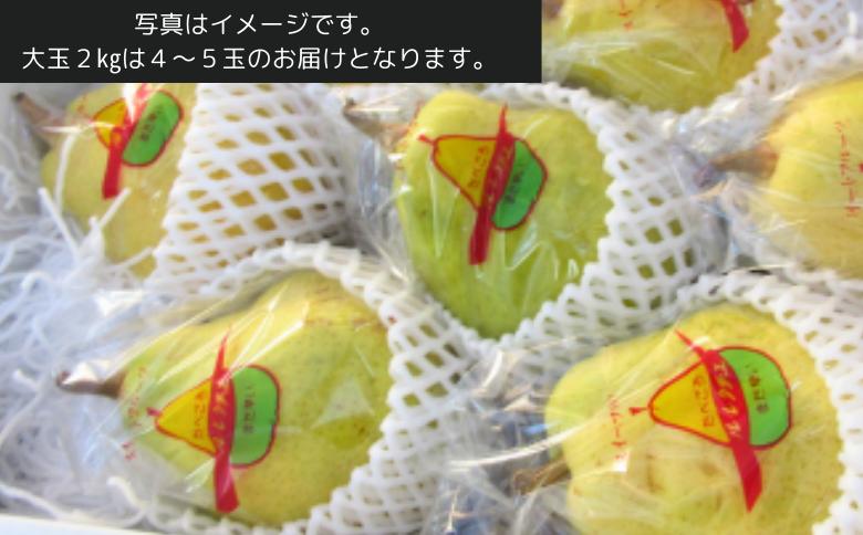 KL03-24A 洋梨 ル・レクチェ（大玉）約2kg 贈答／11月中旬頃から配送予定//長野県 南信州 洋梨 レクチェ ルレクチェ  西洋梨 大玉 とろける 高糖度