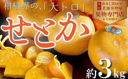せとか 柑橘 香川県産 果物 せとか【約3kg】【先行予約】